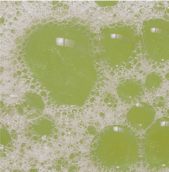 ANIAN - SHOWER GEL PEAR & CUCUMBER 750ML